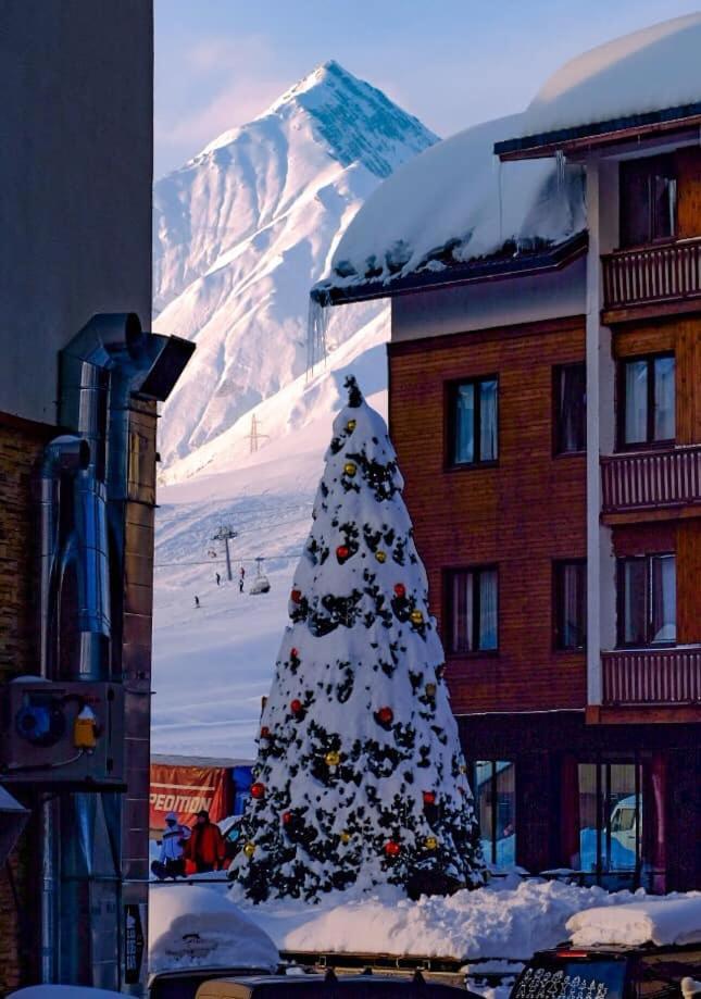 Gudauri Shiny Studio Near Gondola エクステリア 写真