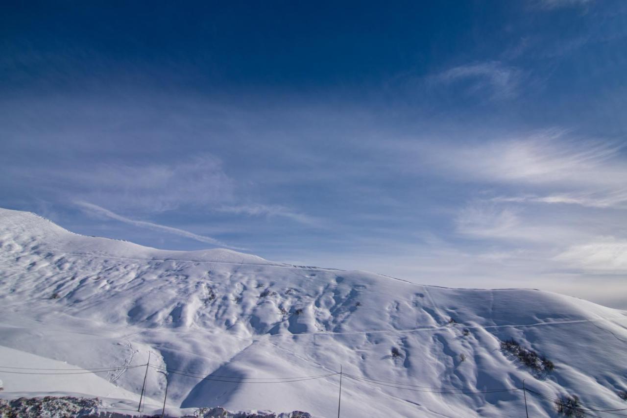 Gudauri Shiny Studio Near Gondola エクステリア 写真